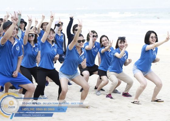 tổ chức du lịch Đà Nẵng Dolphin Sea Air 014