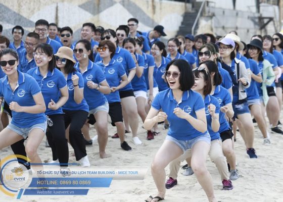 tổ chức du lịch Đà Nẵng Dolphin Sea Air 005